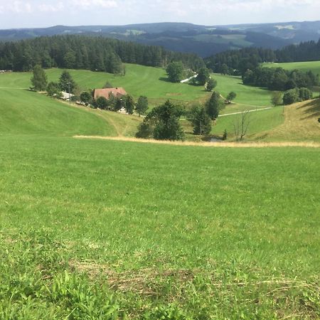Apartamento Im Salzgassle Schonach im Schwarzwald Exterior foto