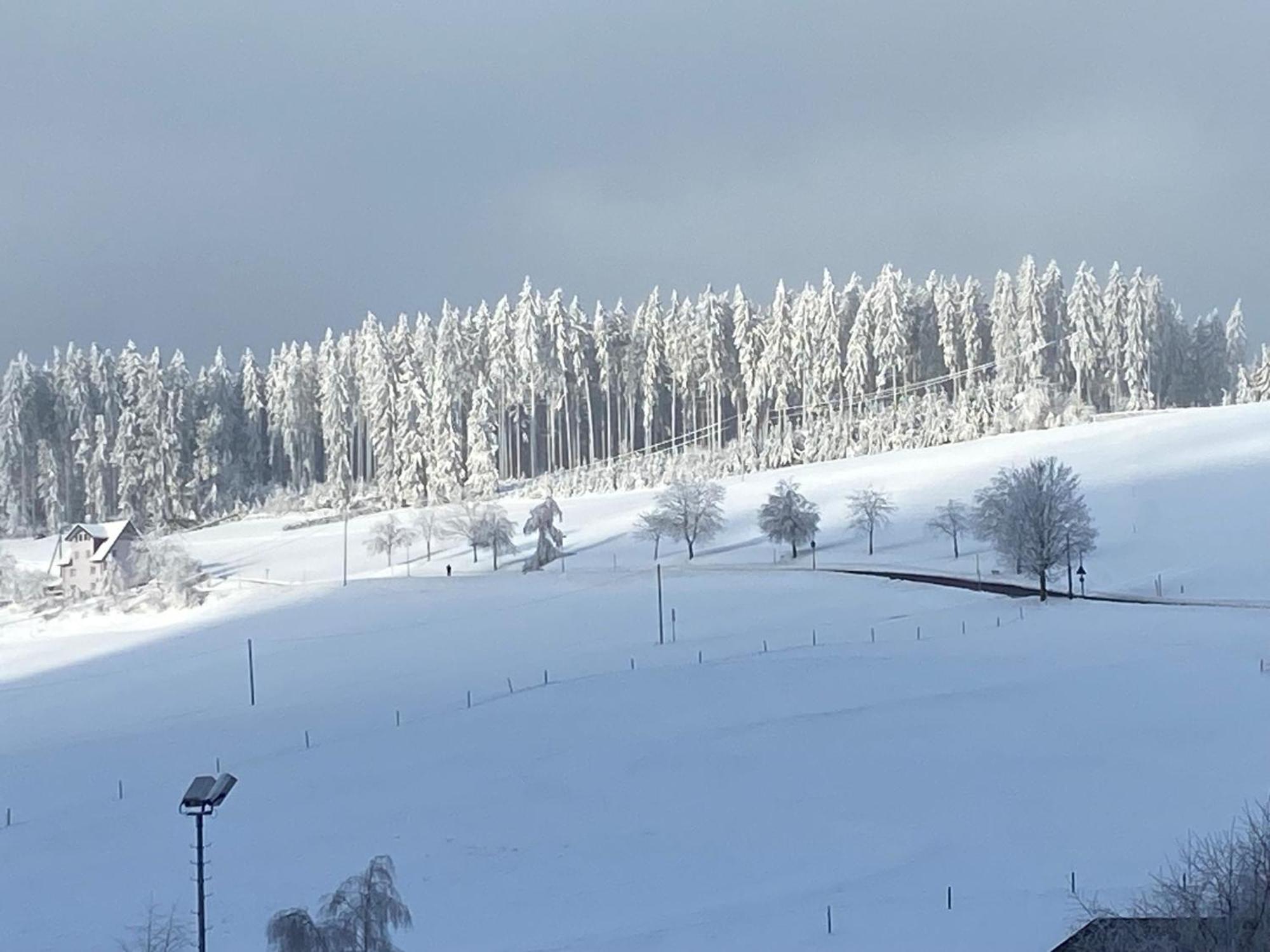 Apartamento Im Salzgassle Schonach im Schwarzwald Exterior foto