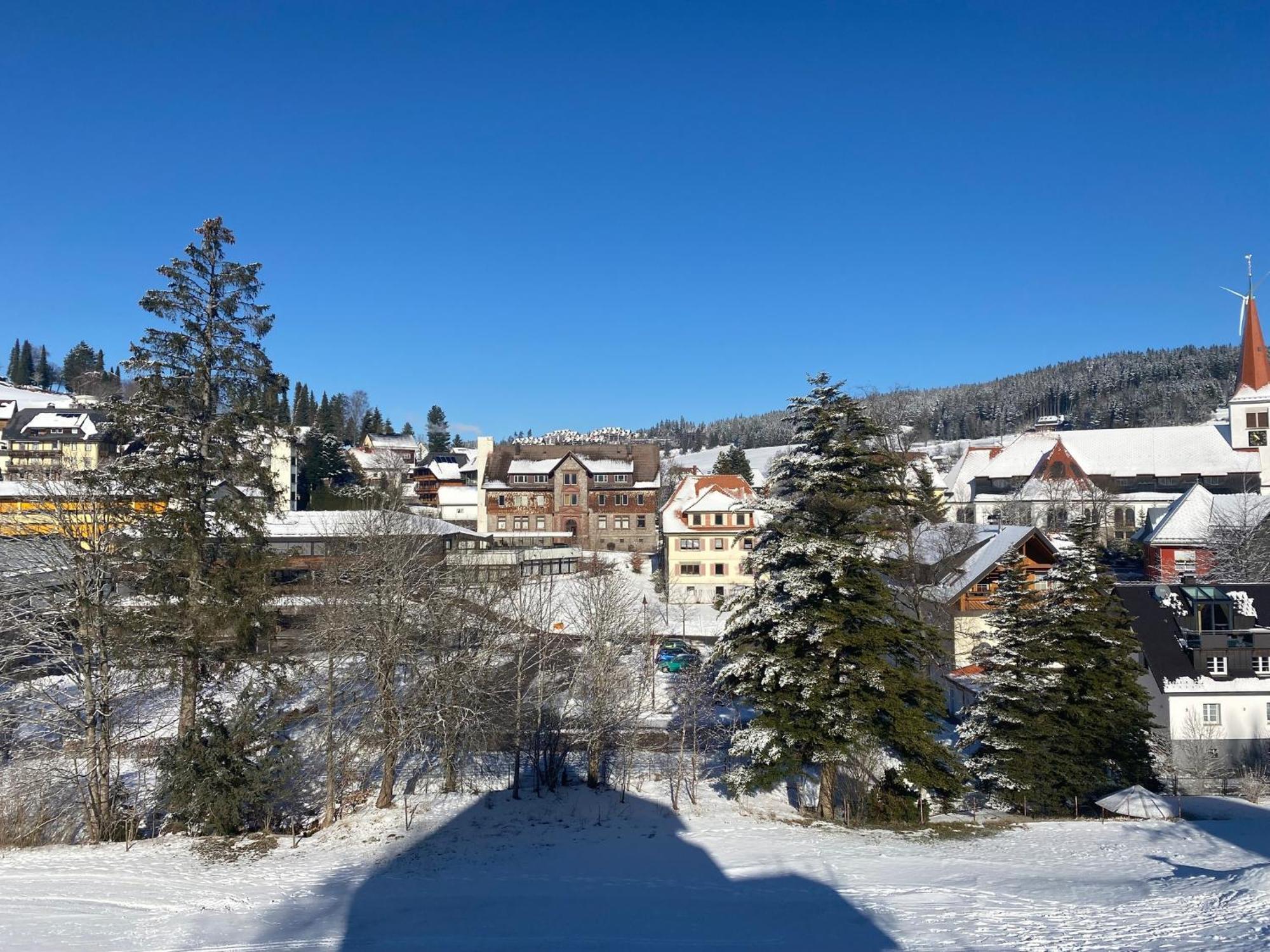 Apartamento Im Salzgassle Schonach im Schwarzwald Exterior foto