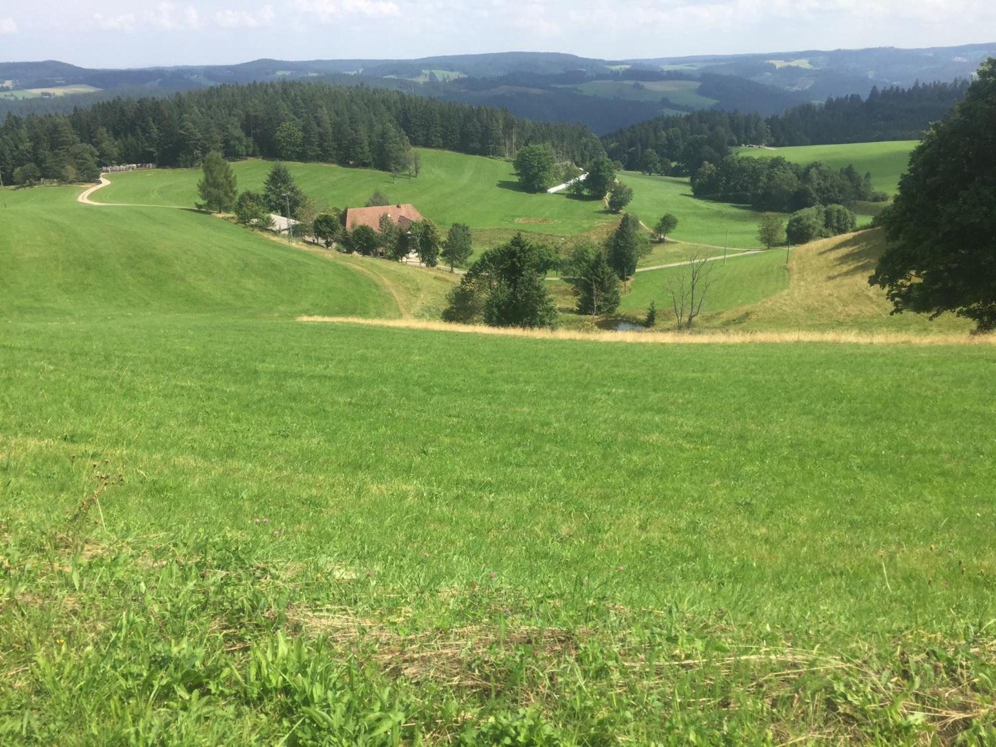 Apartamento Im Salzgassle Schonach im Schwarzwald Exterior foto